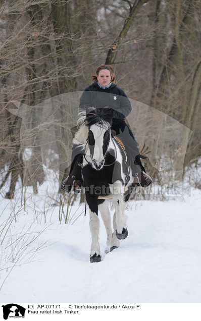 Frau reitet Irish Tinker / woman rides Irish Tinker / AP-07171