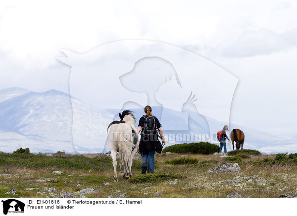 Frauen und Islnder / woman and Icelandic horses / EH-01616