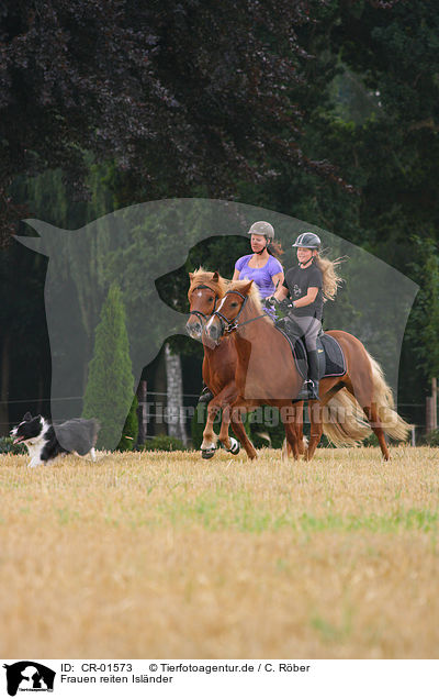 Frauen reiten Islnder / woman rides Icelandic horses / CR-01573