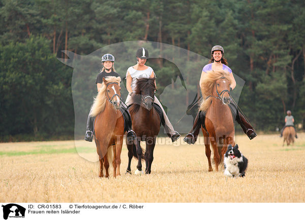 Frauen reiten Islnder / CR-01583