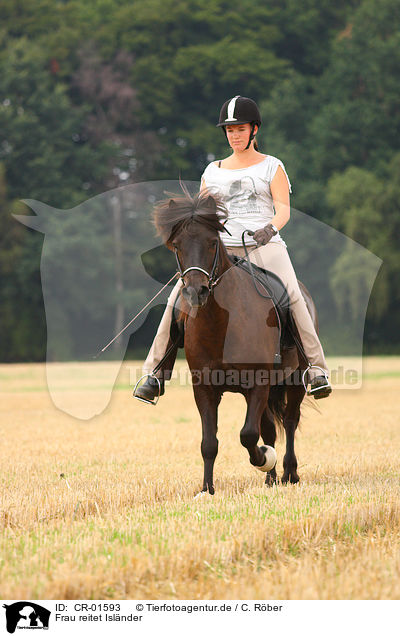 Frau reitet Islnder / woman rides Icelandic horse / CR-01593