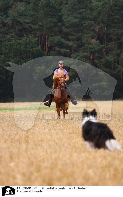 Frau reitet Islnder / woman rides Icelandic horse / CR-01623