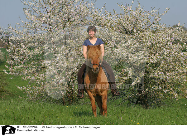 Frau reitet Islnder / woman rides Icelandic horse / SS-22264