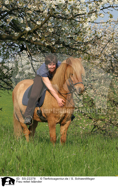 Frau reitet Islnder / woman rides Icelandic horse / SS-22278