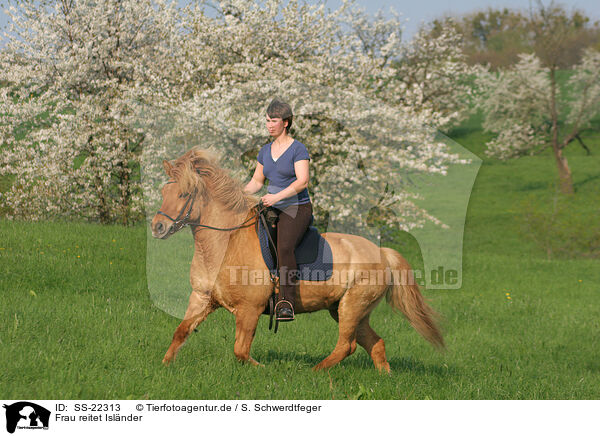 Frau reitet Islnder / woman rides Icelandic horse / SS-22313