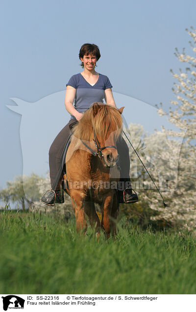 Frau reitet Islnder / woman rides Icelandic horse / SS-22316