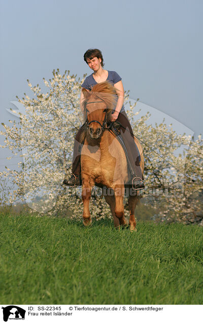 Frau reitet Islnder / woman rides Icelandic horse / SS-22345