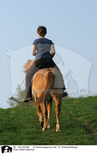 Frau reitet Islnder / woman rides Icelandic horse / SS-22348