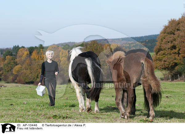 Frau mit Islndern / woman with Icelandic horses / AP-10446