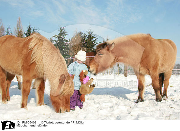 Mdchen und Islnder / girl and Icelandic horses / PM-05403