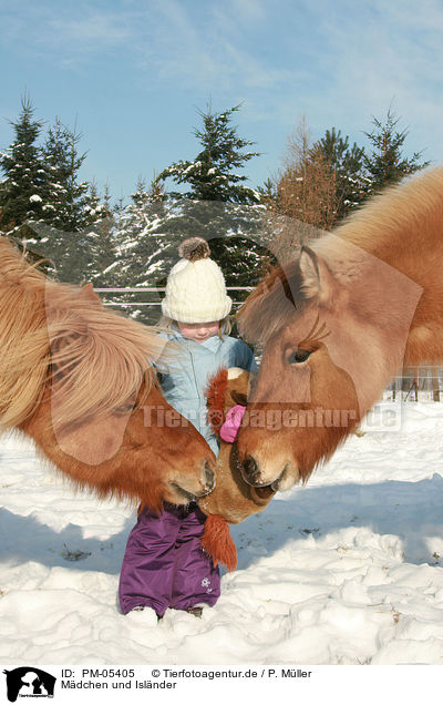 Mdchen und Islnder / girl and Icelandic horses / PM-05405