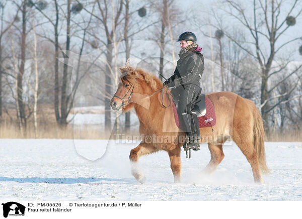 Frau reitet Islnder / woman rides Icelandic horse / PM-05526