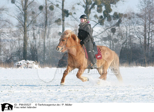 Frau reitet Islnder / woman rides Icelandic horse / PM-05527