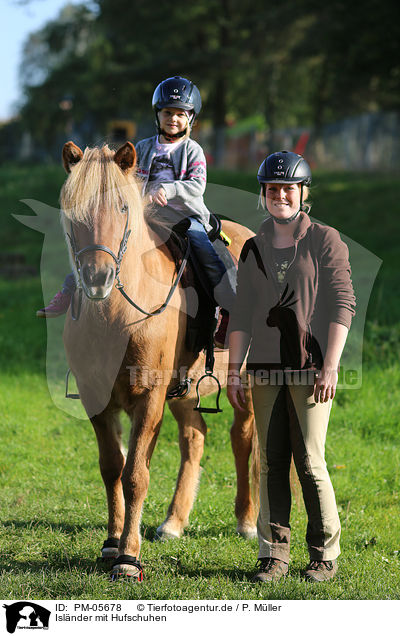 Islnder mit Hufschuhen / Icelandic horse with / PM-05678