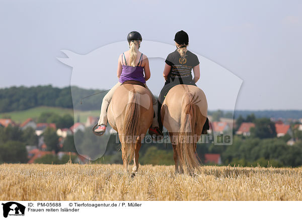 Frauen reiten Islnder / woman rides Icelandic horses / PM-05688