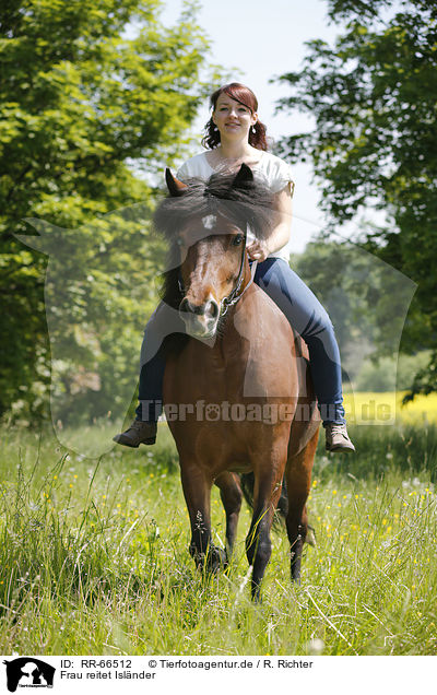 Frau reitet Islnder / woman rides Icelandic horse / RR-66512