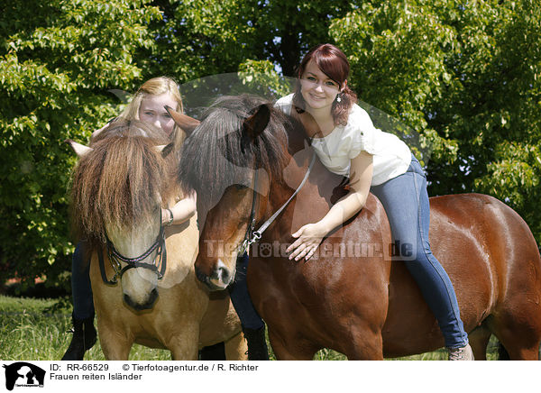 Frauen reiten Islnder / women rides Icelandic horses / RR-66529