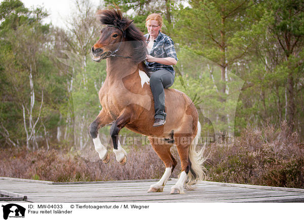 Frau reitet Islnder / woman rides Icelandic horse / MW-04033