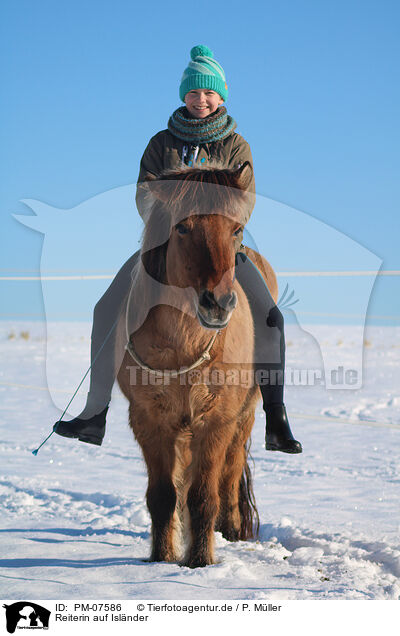 Reiterin auf Islnder / rider on Icelandic horse / PM-07586