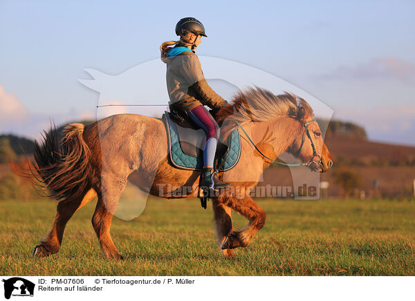 Reiterin auf Islnder / rider on Icelandic horse / PM-07606