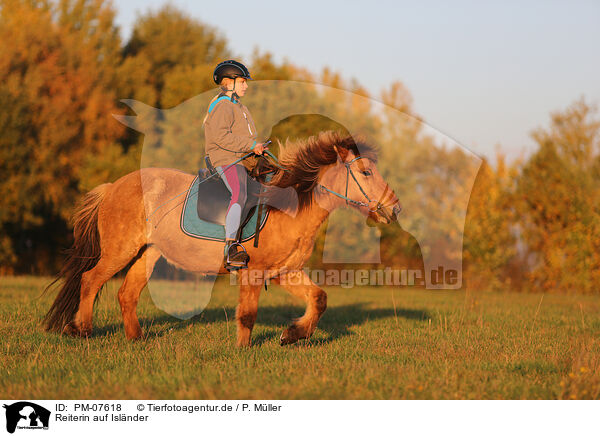 Reiterin auf Islnder / rider on Icelandic horse / PM-07618