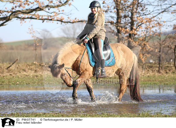 Frau reitet Islnder / woman rides Icelandic horse / PM-07741