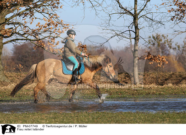 Frau reitet Islnder / woman rides Icelandic horse / PM-07749