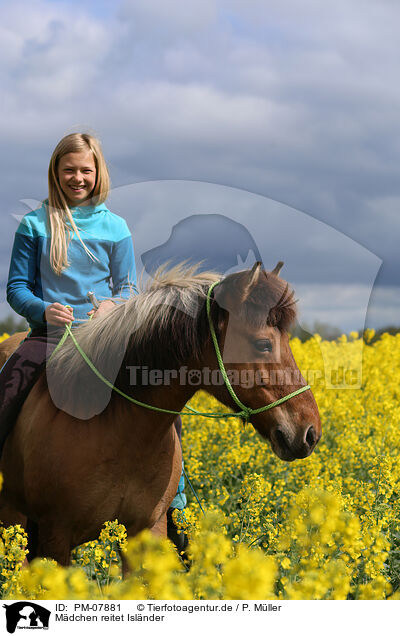 Mdchen reitet Islnder / girl rides Icelandic horse / PM-07881
