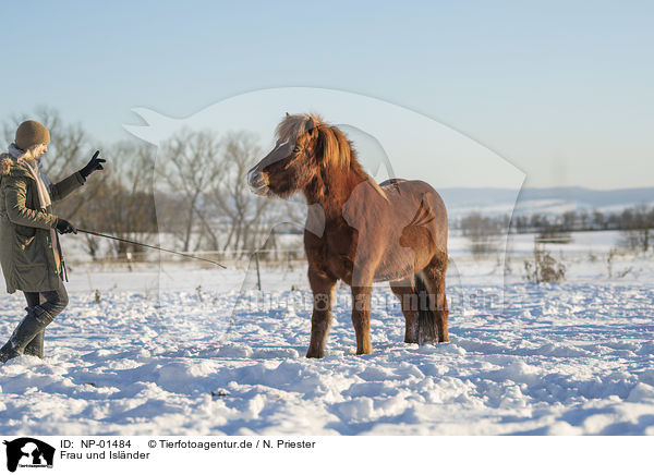 Frau und Islnder / woman and Icelandic horse / NP-01484