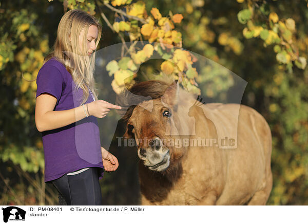 Islnder / Icelandic horse / PM-08401