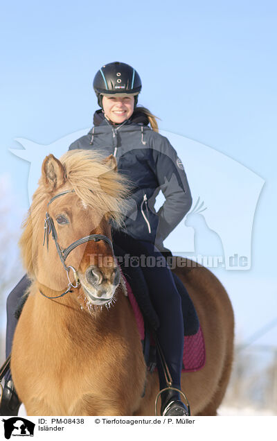 Islnder / Icelandic horse / PM-08438