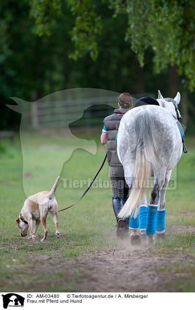 Frau mit Pferd und Hund / AM-03480