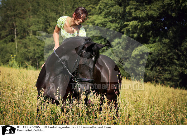 Frau reitet Kaltblut / woman rides coldblood / CDE-02265