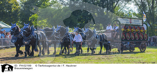 Brauereiwagen / brewery wagon / FH-02189