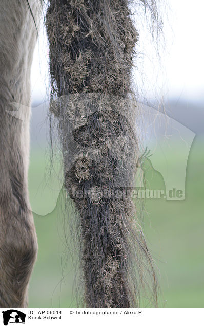 Konik Schweif / horse tail / AP-06014