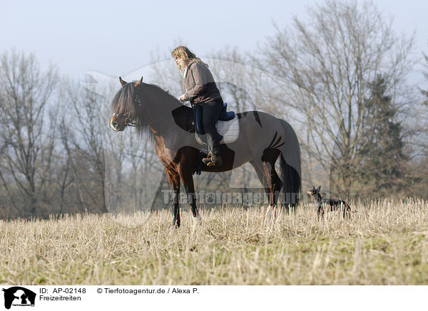 Freizeitreiten / riding woman / AP-02148