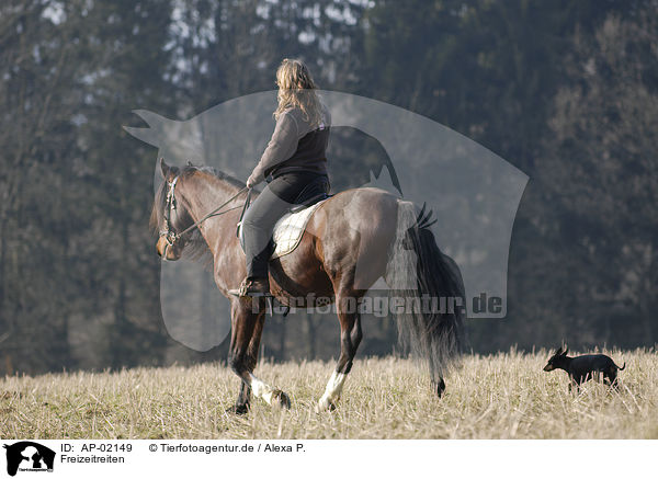 Freizeitreiten / riding woman / AP-02149
