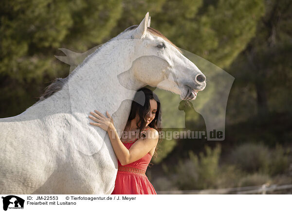 Freiarbeit mit Lusitano / Free work with Lusitano / JM-22553