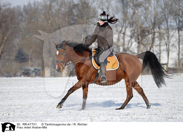 Frau reitet Araber-Mix / woman rides horse / RR-47701