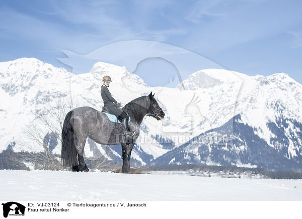 Frau reitet Noriker / woman rides Noriker Horse / VJ-03124