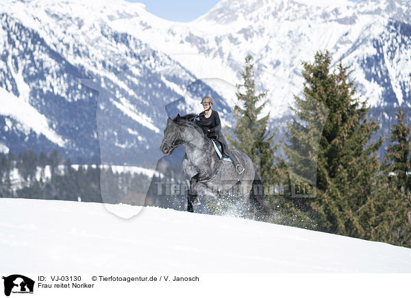 Frau reitet Noriker / woman rides Noriker Horse / VJ-03130