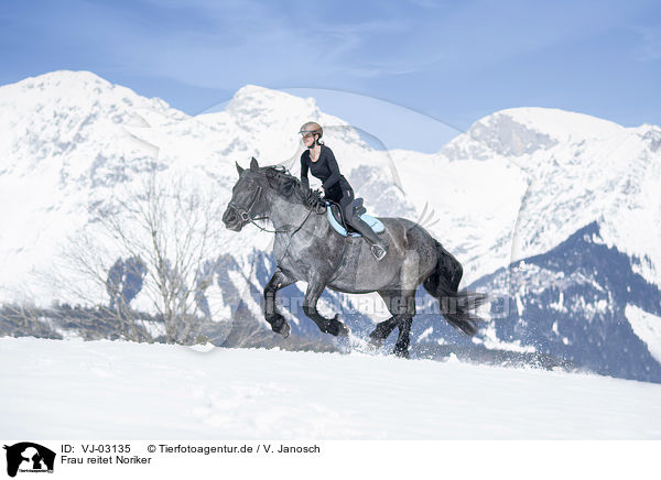 Frau reitet Noriker / woman rides Noriker Horse / VJ-03135