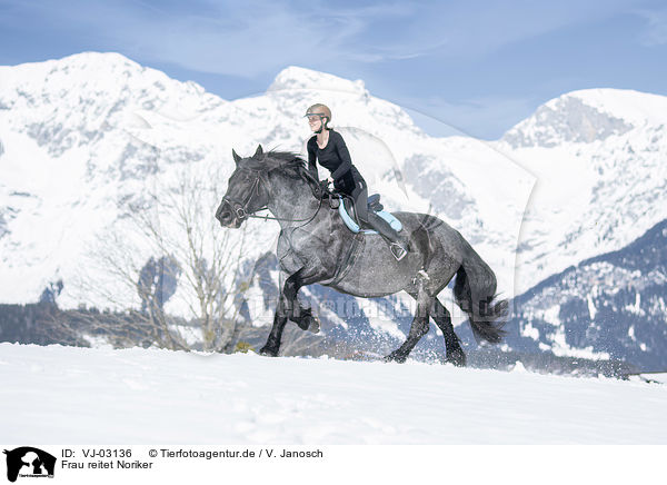 Frau reitet Noriker / woman rides Noriker Horse / VJ-03136