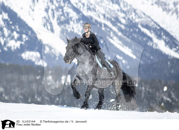Frau reitet Noriker / woman rides Noriker Horse / VJ-03144