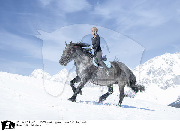Frau reitet Noriker / woman rides Noriker Horse / VJ-03146