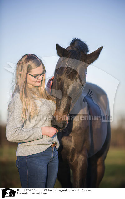 Oldenburger mit Frau / Oldenburg Horse with a woman / JRO-01170