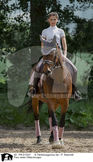 Frau reitet Oldenburger / woman rides Oldenburg Horse / PK-01027