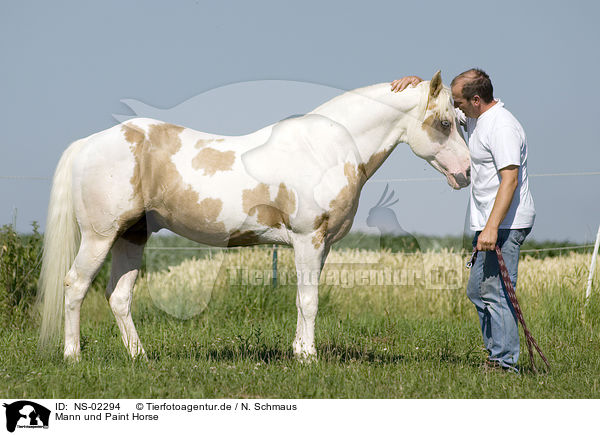 Mann und Paint Horse / NS-02294