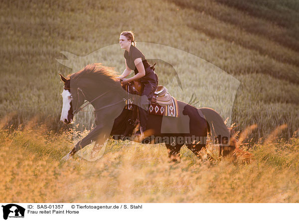 Frau reitet Paint Horse / SAS-01357
