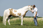 Mann und Paint Horse